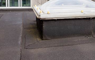 disadvantages of Capel Y Ffin flat roofs